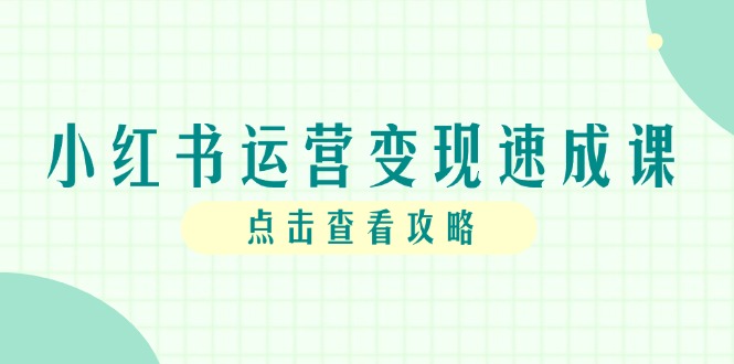 小红书运营变现速成课，账号搭建到暴力起号，个人IP全流程指南-轻创网