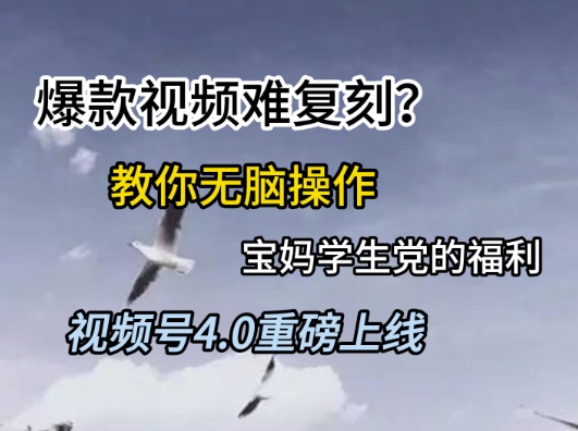 视频号4.0重磅上线，爆款视频难复刻？教你无脑操作宝妈学生党的福利【揭秘】-轻创网