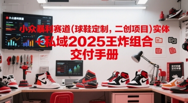 小众暴利赛道(球鞋定制，二创项目)实体+私域2025王炸组合 交付手册-轻创网