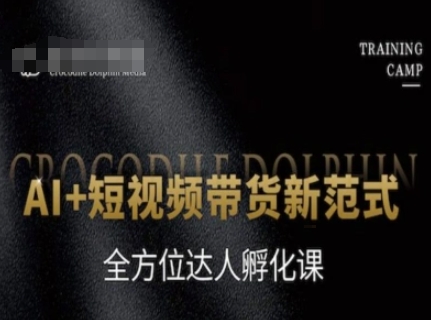 AI+短视频带货新范式，全方位达人孵化课-轻创网