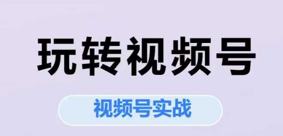 玩转视频号，视频号实战系列课-轻创网
