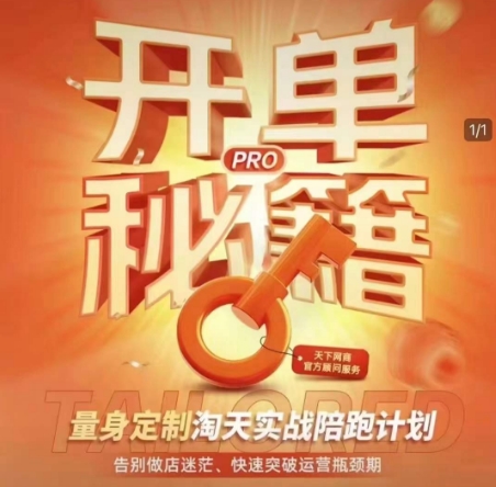 淘宝开单秘籍PRO，量身定制淘天实战陪跑计划，告别做店迷茫、快速突破运营瓶颈期(更新6月)-轻创网