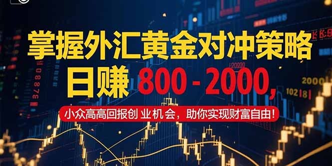 掌握外汇黄金对冲策略，日赚 800 – 2000，小众高回报创业机会，助你实…-轻创网