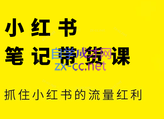 张宾·小红书笔记带货课(更新6月)-轻创网