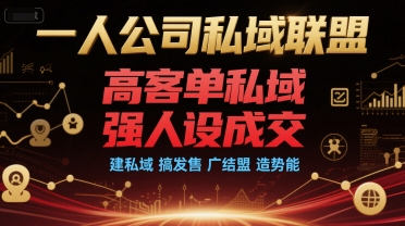 一人公司私域联盟，高客单私域，强人设成交，建私域 搞发售 广结盟 造势能-轻创网