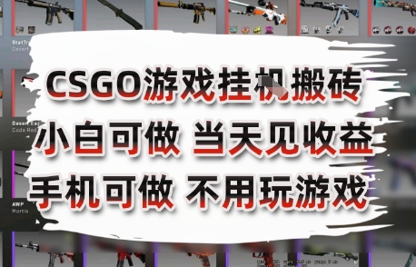 CSGO游戏挂G搬砖，小白纯手机即可操作，不用电脑打游戏，日入3张+，副业网创项目【揭秘】-轻创网