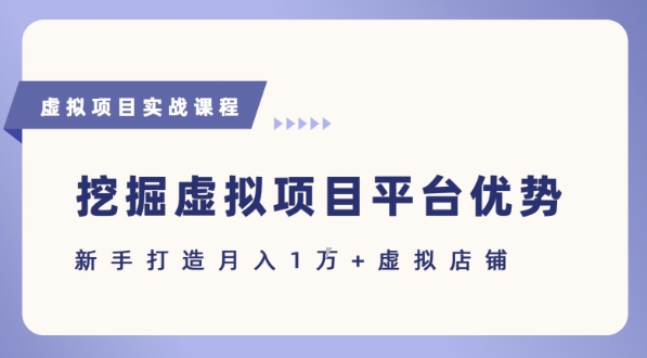 抓住虚拟项目各平台优势，新手轻松月入1W+(给出具体建议)-轻创网