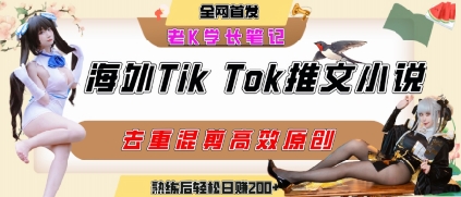 海外tiktok小说推文暴力项目，高停留率，高转化率，上手后一天搞顿饭钱不是问题-轻创网