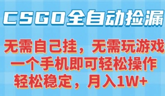 CSGO自动捡漏项目，最新独家玩法，一个手机可操作，新手小白轻松月入1W+，操作简单易上手【揭秘】-轻创网