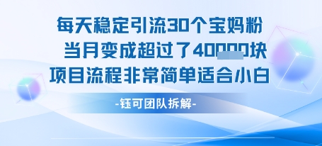 每天稳定引流30个人 当月变成超过了4个W项目流程非常简单适合小白-轻创网