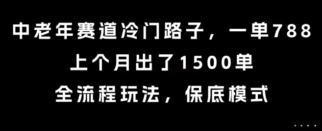 中老年赛道冷门路子，一单788，上个月出了1500单，全流程玩法，保底模式【揭秘】-轻创网