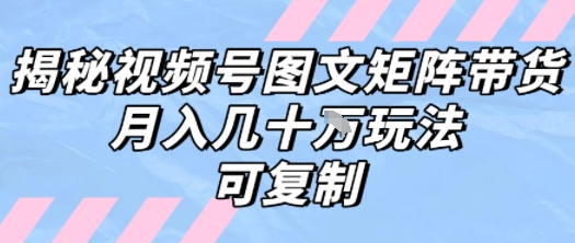 解密视频号图文矩阵带货，月入几个W的打法，可复制-轻创网