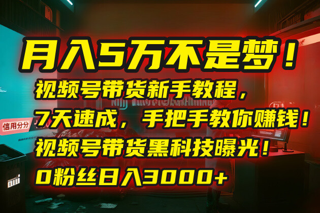 月入5万不是梦！视频号带货新手教程，7天速成，手把手教你赚钱！视频号…-轻创网