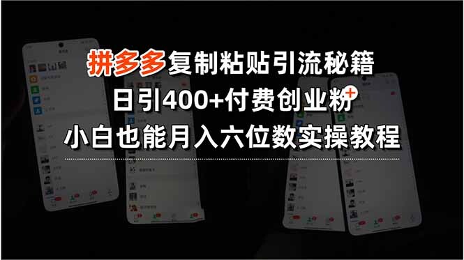 拼多多复制粘贴引流秘籍，日引400+付费创业粉，小白也能月入六位数实操…-轻创网
