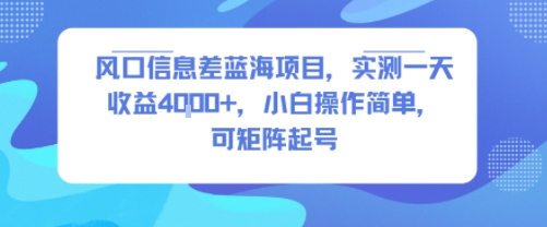风口信息差蓝海项目，实测一天收益4k+，小白操作简单，可矩阵起号-轻创网