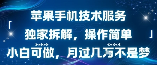 苹果手机技术服务，独家拆解，操作简单，小白可做，月过1W不是梦-轻创网