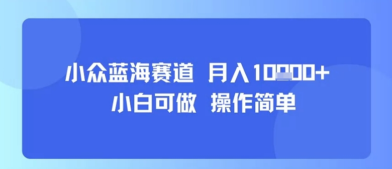 小众蓝海赛道，小白可做，操作简单，每天30分钟，月入1W+-轻创网