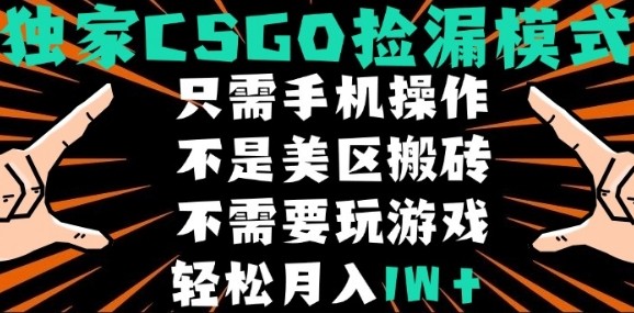 CSGO自动捡漏项目，最新独家玩法，不是美区搬砖，不需要了解和玩游戏，新手小白轻松月入1W+【揭秘】-轻创网