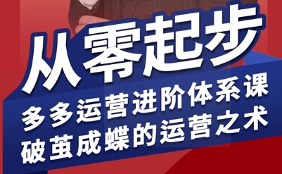 拼多多运营进阶系统课，从零起步，多多运营进阶体系课，破茧成蝶的运营之术-轻创网