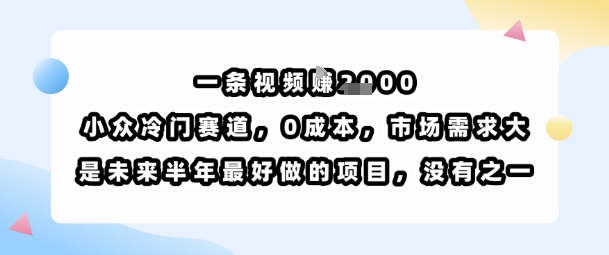 一条视频挣1k，小众冷门赛道，0成本，市场需求大，是未来半年最好做的项目，没有之一-轻创网