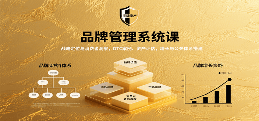 品牌管理系统课：战略定位与消费者洞察，DTC案例、资产评估，增长与公关体系搭建-轻创网