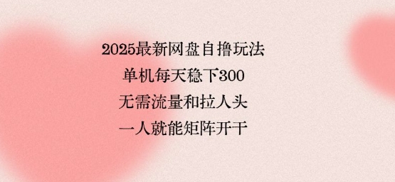 2025最新网盘自撸玩法，单机每天稳下3张，无需流量和拉人头，一个人就可轻松矩阵，全网独一份【揭秘】-轻创网