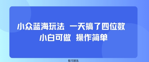 小众蓝海玩法 一天搞了四位数 小白可做 操作简单-轻创网
