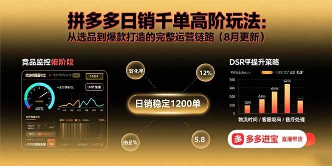 拼多多日销千单高阶玩法：从选品到爆款打造的完整运营链路(8月更新-轻创网