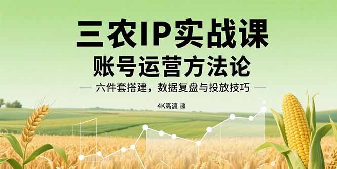 三农IP实战课：账号运营方法论，六件套搭建，数据复盘与投放技巧-轻创网