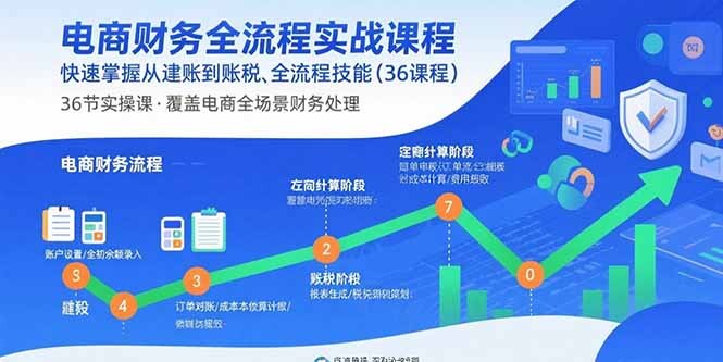 电商财务全流程实战课程：快速掌握从建账到报税的全流程技能(36节课-轻创网