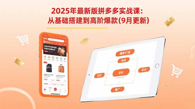 2025年最新版拼多多实战课：从基础搭建到高阶爆款(9月更新-轻创网