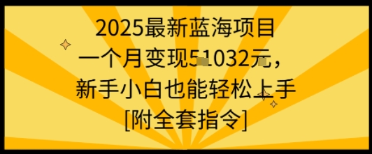 2025最新蓝海项目一个月变现1w+新手小白也能轻松上手【附全套指令】-轻创网