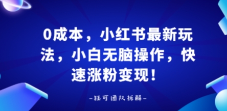 0成本，小红书最新玩法，小白无脑操作，快速涨粉变现-轻创网