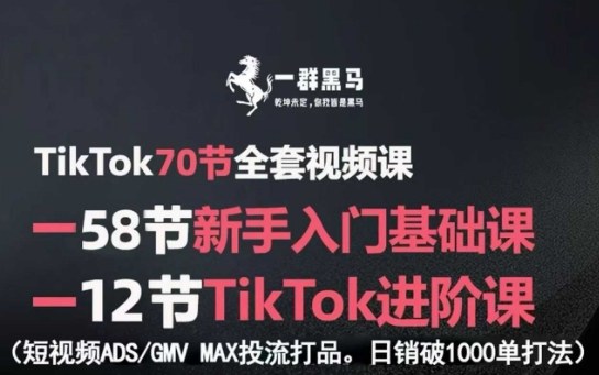 TikTok全套视频课，新手入门+进阶课，短视频ADS-GMV MAX投流打品，日销破1000单打法-轻创网