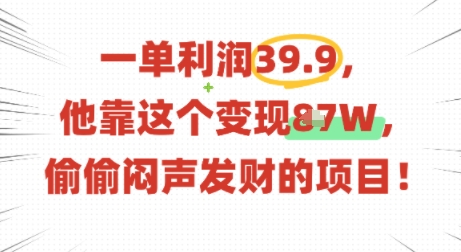 一单利润39.9，有人靠这个变现几十个，偷偷闷声发财的项目-轻创网