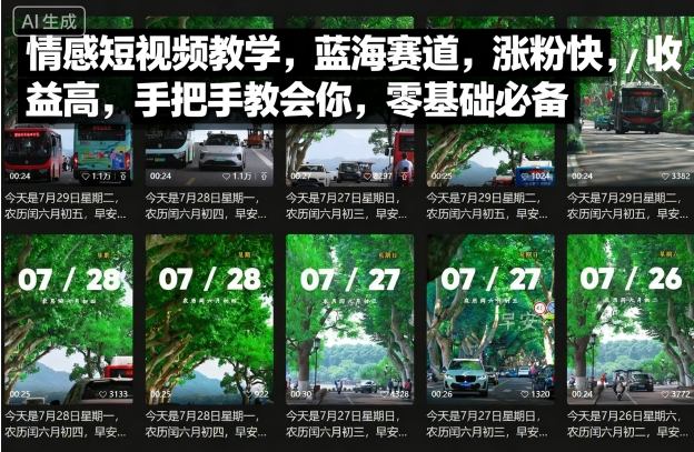 情感短视频教学,蓝海赛道,涨粉快,收益高,手把手教会你,零基础必备-轻创网