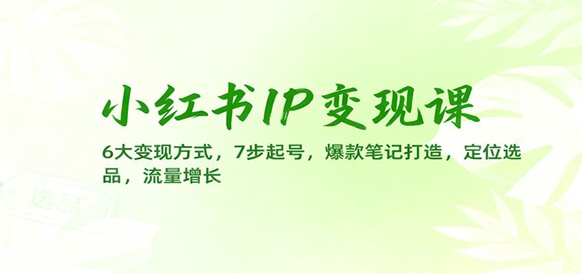 小红书IP变现课：6大变现方式，7步起号，爆款笔记打造，定位选品，流量增长-轻创网