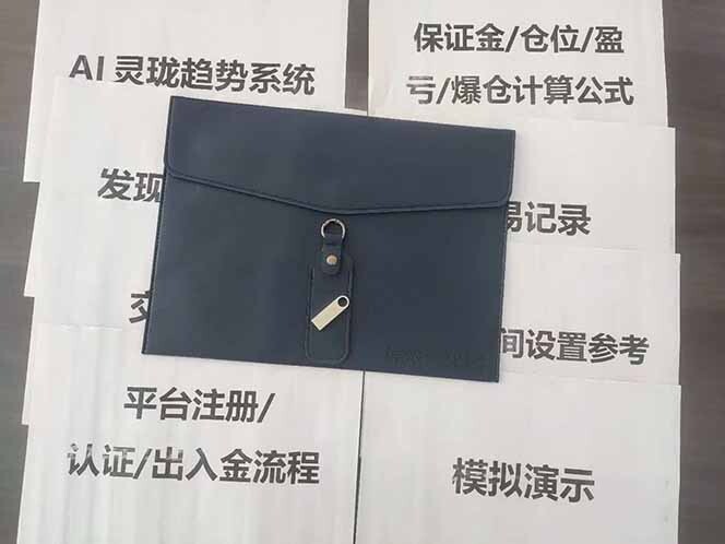 图片[5]-海外美金AI掘金项目，200U可入门槛，一天一单即可，每天1000-2000很轻松！-轻创网