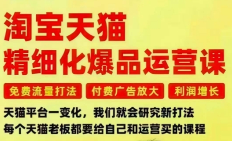 淘宝天猫精细化爆品运营课，免费流量打法-付费广告放大-利润增长-三大核心痛点，一次全部解决-轻创网