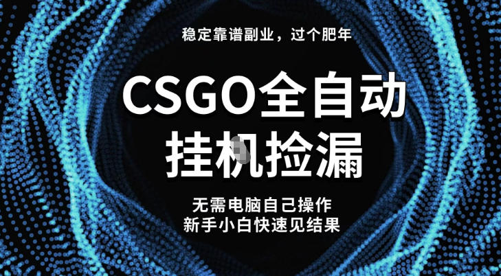 【稳定副业】全球最热门游戏CSGO全自动捡漏，最新玩法，新手小白日入5张+【揭秘】-轻创网
