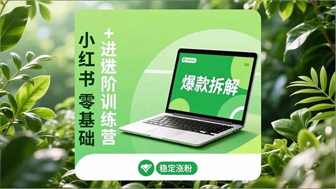 小红书零基础+高阶训练营：安全养号、爆款拆解、长效运营，实现稳定涨粉与变现-轻创网