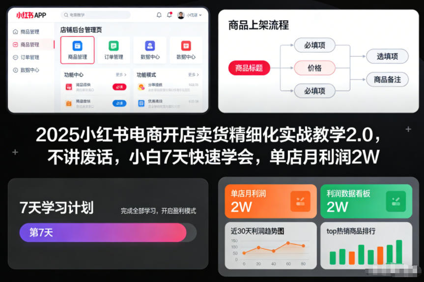 2025小红书电商开店卖货精细化实战教学2.0，不讲废话，小白7天快速学会，单店月利润2W-轻创网