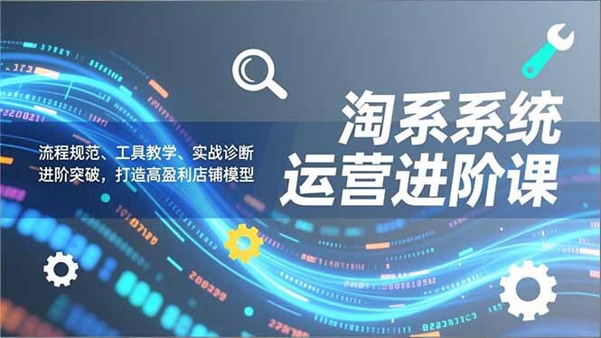 淘系系统运营进阶课2.0，流程规范、工具教学、实战诊断，进阶突破，打造高盈利店铺模型-轻创网