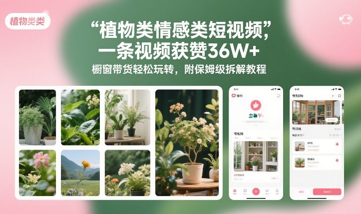 植物类情感类短视频，一条视频获赞36W+，橱窗带货轻松玩转，附保姆级拆解教程-轻创网