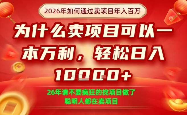 一单净利润1K+，26年想年入100个W，死磕卖项目就够了【揭秘】-轻创网